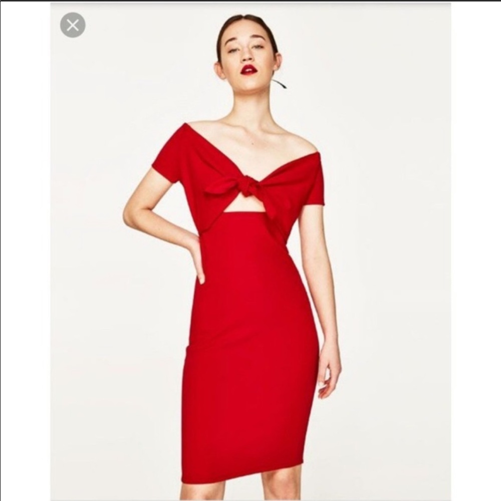 Zara Bodycon Dress NWOT